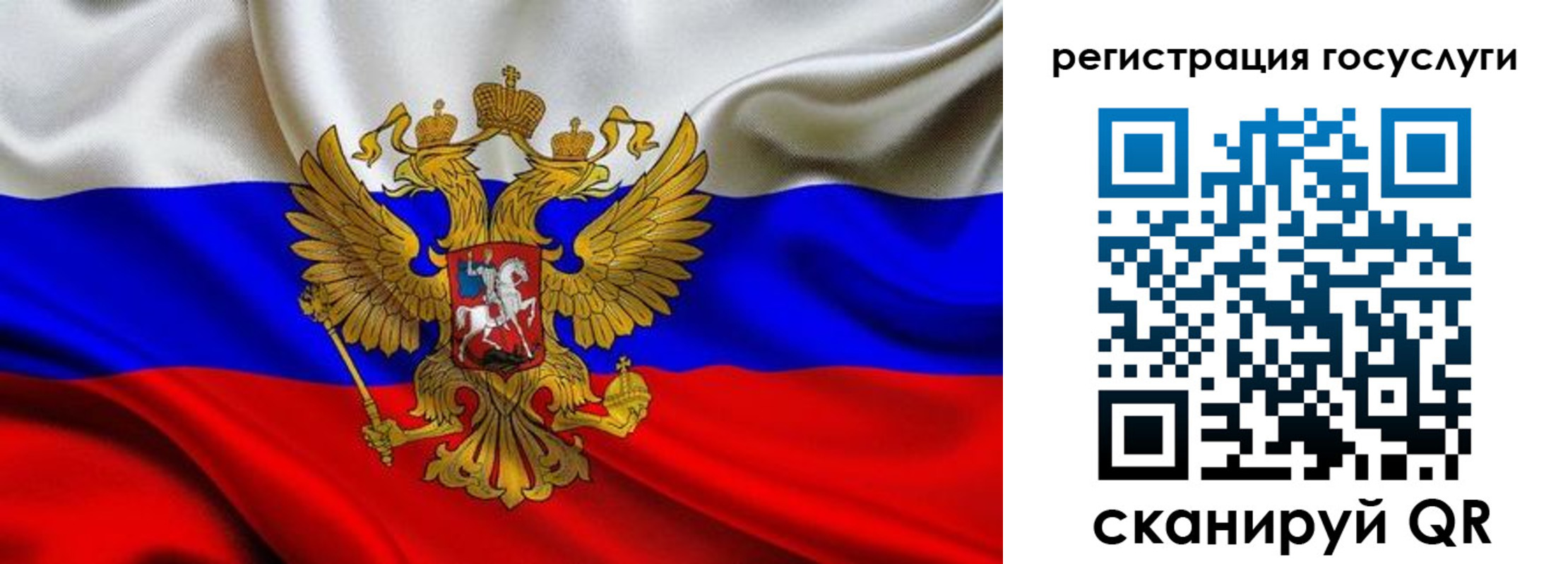 прописка гарантия в Ельне